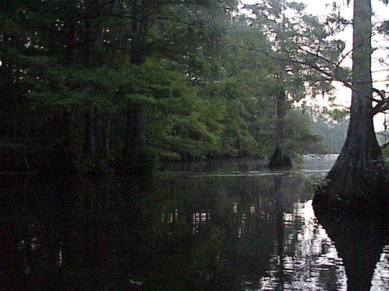 Bayou Chicot Trip - 1999 - 103.jpg