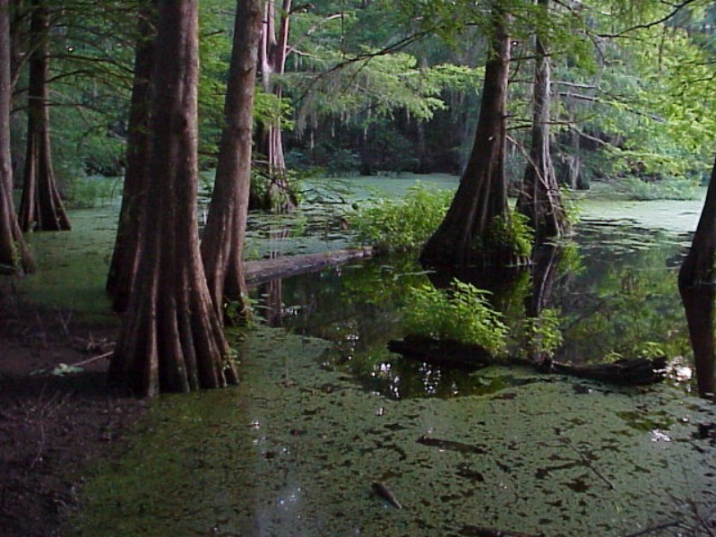 Bayou Chicot Trip - 1999 - 112.jpg