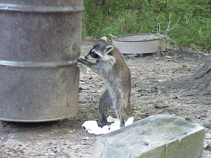 Bayou Chicot Trip - 1999 - 125.jpg