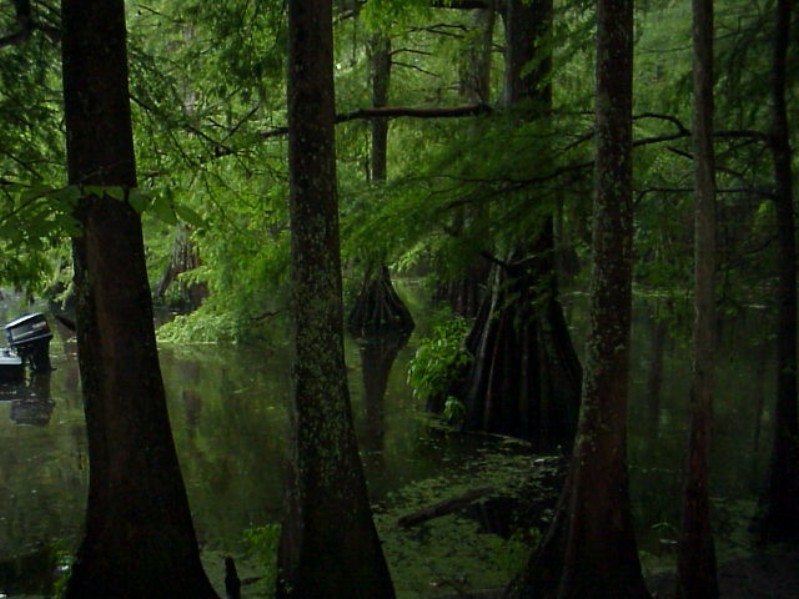 Bayou Chicot Trip - 1999 - 154.jpg