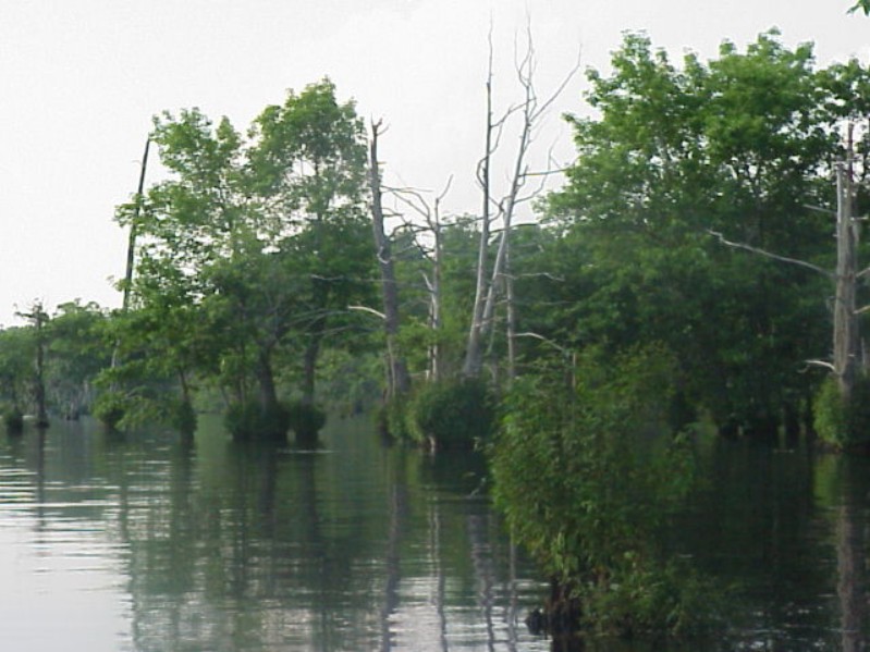 Bayou Chicot Trip - 1999 - 157.jpg