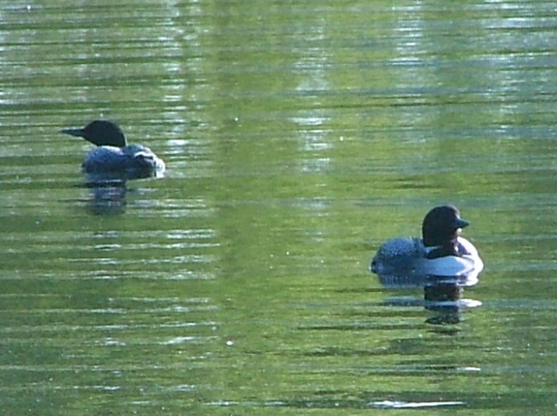 WI Fishing Trip - 2006 - 025.JPG