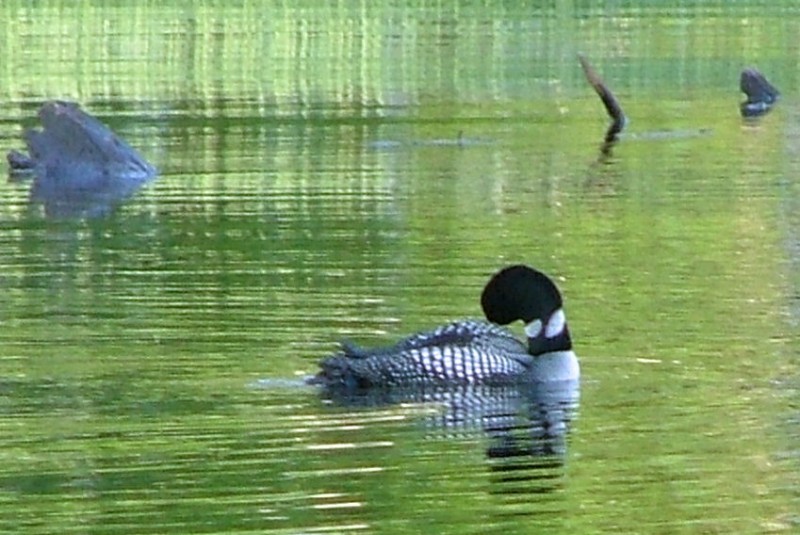 WI Fishing Trip - 2006 - 026.JPG