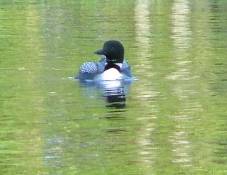 WI Fishing Trip - 2006 - 027.JPG