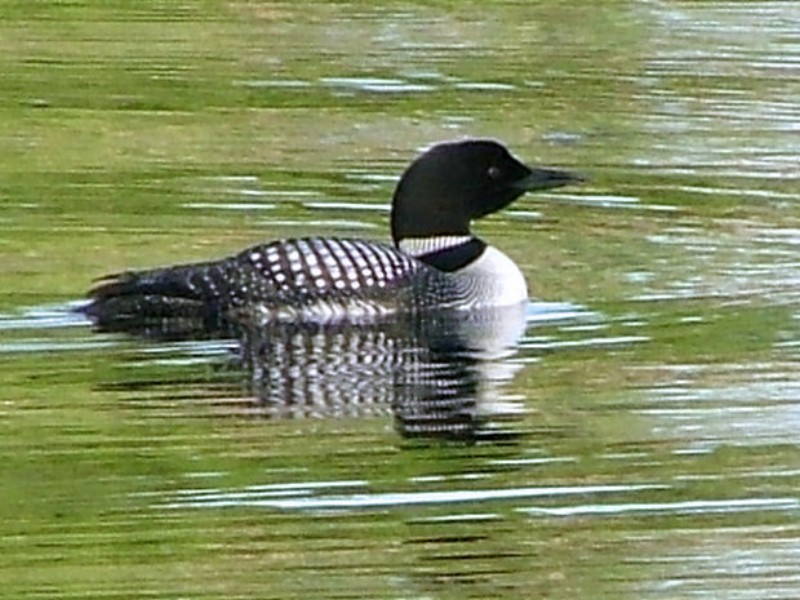 WI Fishing Trip - 2006 - 028.JPG