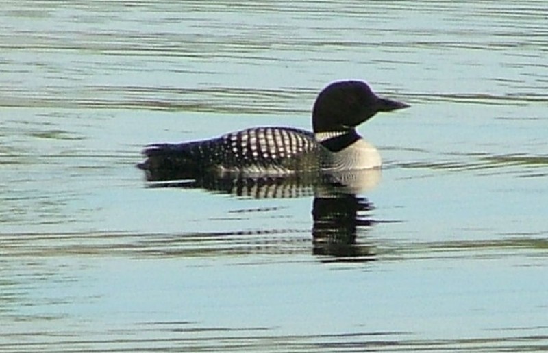 WI Fishing Trip - 2006 - 029.JPG