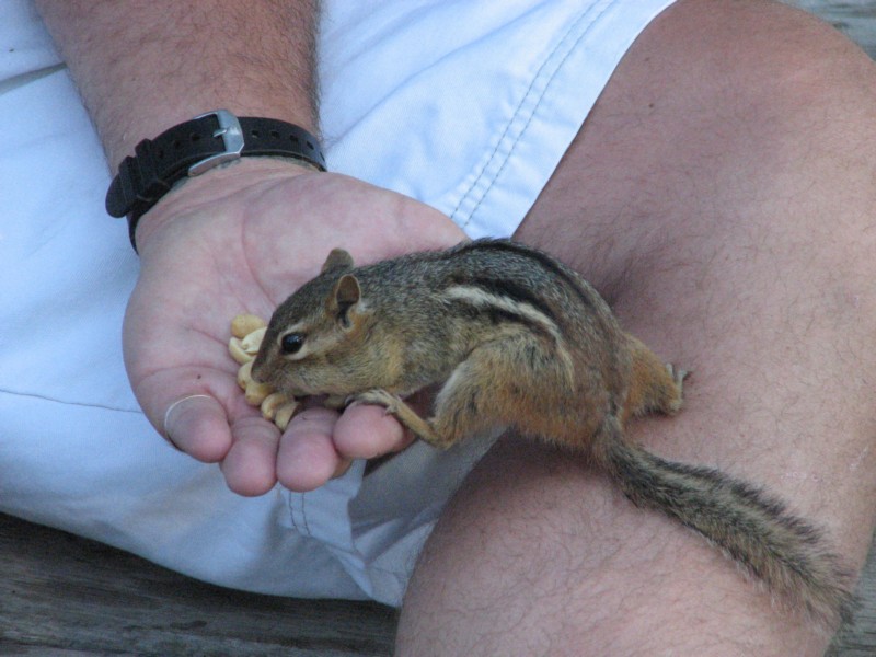 Wis Fishing Trip - 2007 - 199.JPG