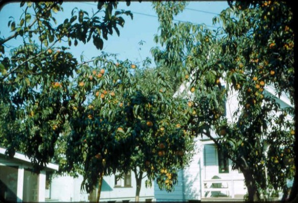 Old Turek Family Slides - 108.jpg