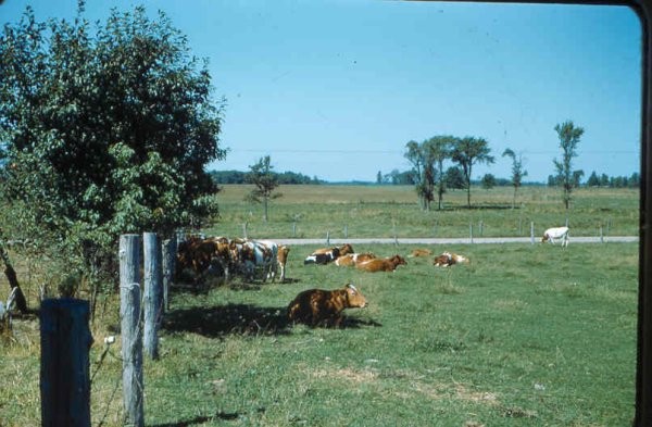 Old Turek Family Slides - 203.jpg