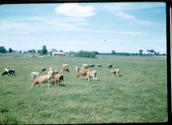 Old Turek Family Slides - 218.jpg