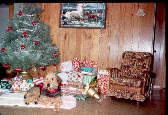 Old Turek Family Slides - 247.jpg