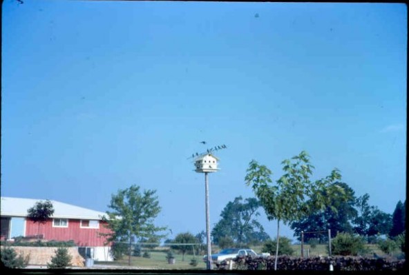 Old Turek Family Slides - 060.jpg