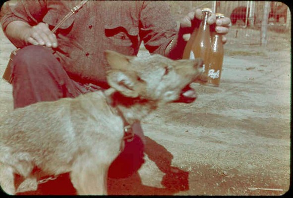 Old Turek Family Slides - 398.jpg