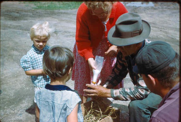 Old Turek Family Slides - 607.jpg