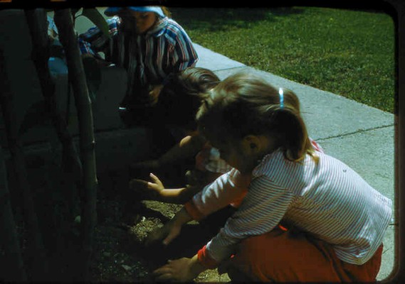 Old Turek Family Slides - 674.jpg