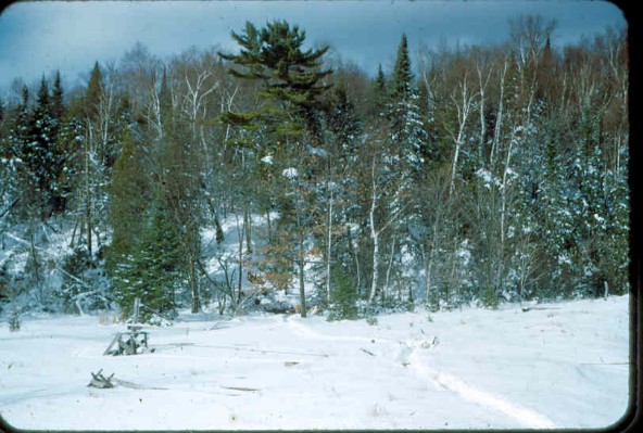 Old Turek Family Slides - 717.jpg