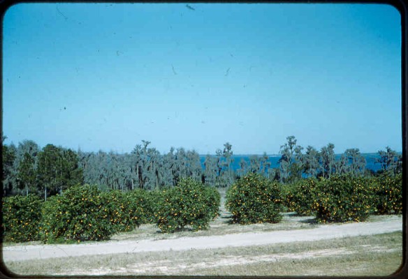 Old Turek Family Slides - 740.jpg