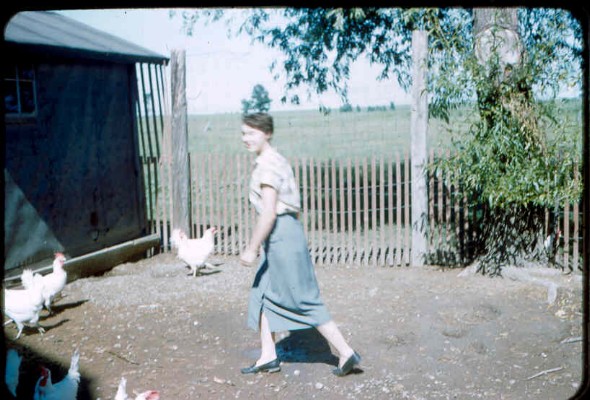 Old Turek Family Slides - 549.jpg