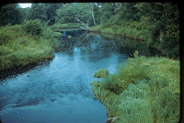 Old Turek Family Slides - 550.jpg