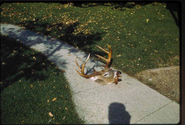 Old Turek Family Slides - 554.jpg