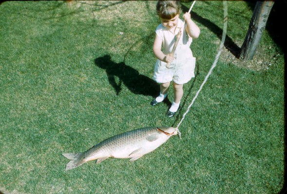 Old Turek Family Slides - 568.jpg