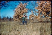 Old Turek Family Slides - 510.jpg