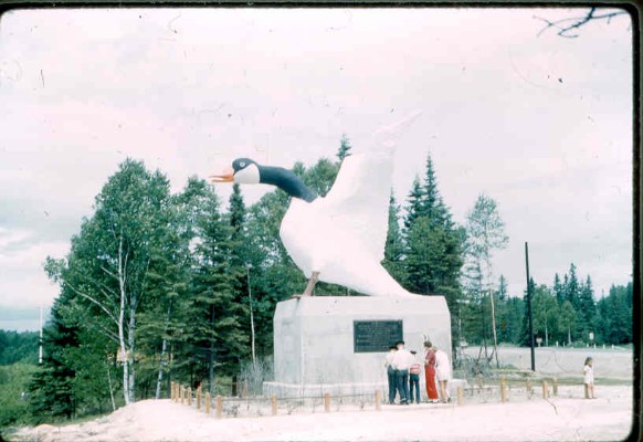 Old Turek Family Slides - 867.jpg