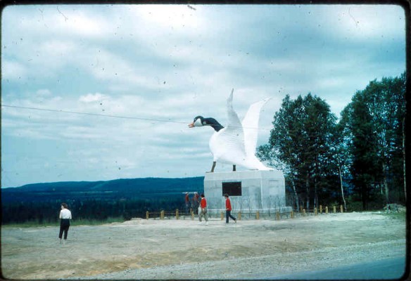 Old Turek Family Slides - 868.jpg