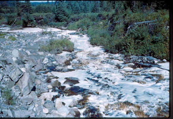 Old Turek Family Slides - 886.jpg