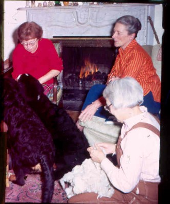 Old Turek Family Slides - 903.jpg