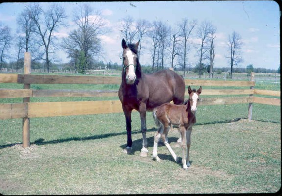 Old Turek Family Slides - 781.jpg