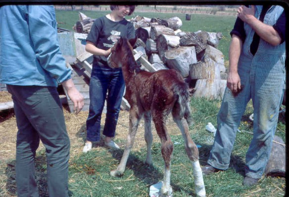 Old Turek Family Slides - 784.jpg