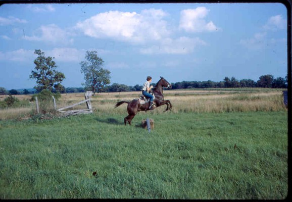 Old Turek Family Slides - 786.jpg