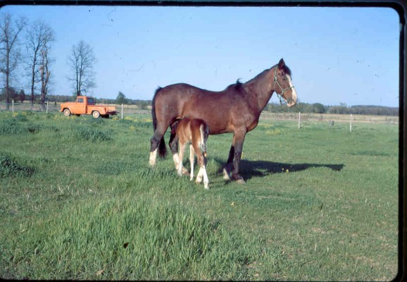 Old Turek Family Slides - 792.jpg