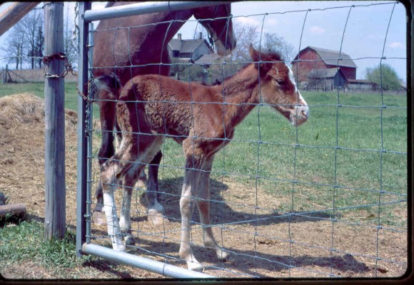 Old Turek Family Slides - 795.jpg