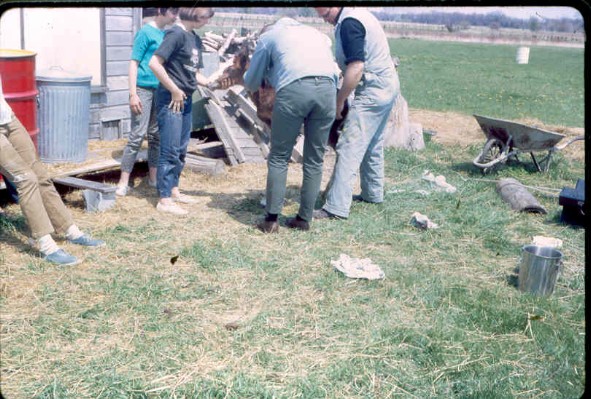 Old Turek Family Slides - 798.jpg