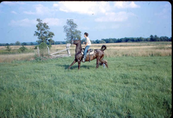 Old Turek Family Slides - 800.jpg