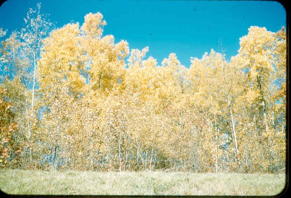 Old Turek Family Slides - 827.jpg