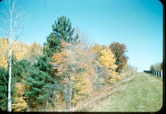 Old Turek Family Slides - 828.jpg