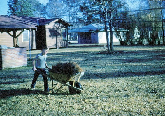 MikeR working in yard.jpg