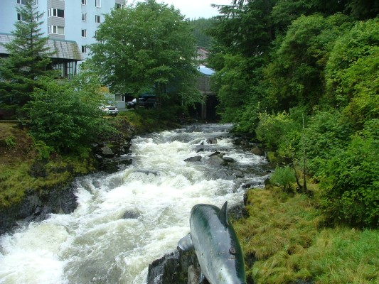 H Ketchikan - 016.JPG