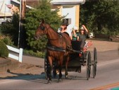 Amish Country 2002 - 014.jpg