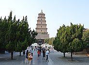 Wild Goose Pagoda