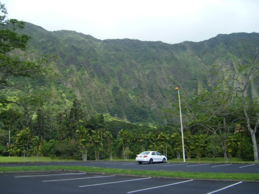 Hawaii 2008 - 002.JPG