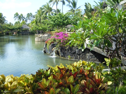 Hawaii 2008 - 048.JPG