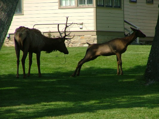 South Dakota - Wyoming - Montana - 170.JPG