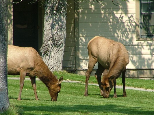South Dakota - Wyoming - Montana - 171.JPG