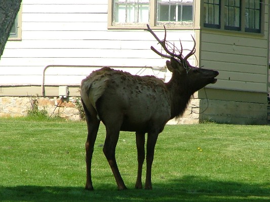 South Dakota - Wyoming - Montana - 172.JPG