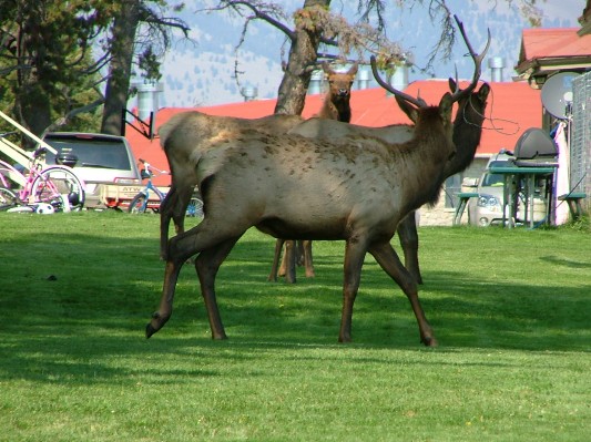 South Dakota - Wyoming - Montana - 174.JPG