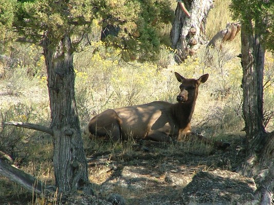 South Dakota - Wyoming - Montana - 175.JPG